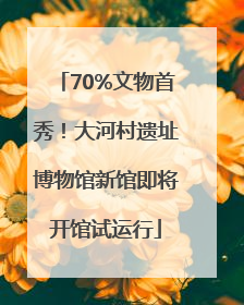 70%文物首秀！大河村遗址博物馆新馆即将开馆试运行