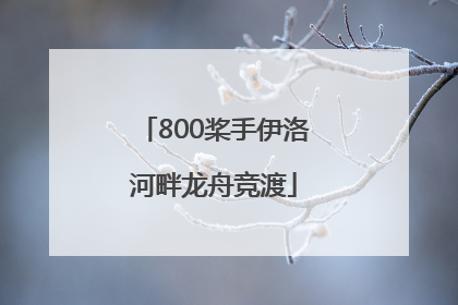 800桨手伊洛河畔龙舟竞渡