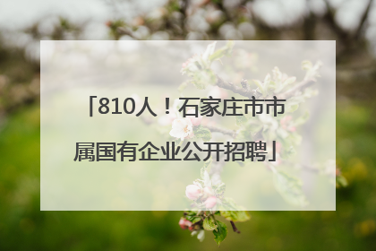 810人！石家庄市市属国有企业公开招聘