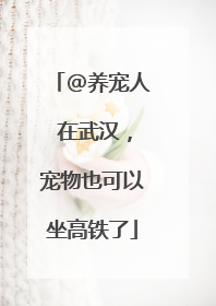 @养宠人 在武汉，宠物也可以坐高铁了
