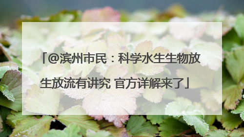 @滨州市民：科学水生生物放生放流有讲究 官方详解来了